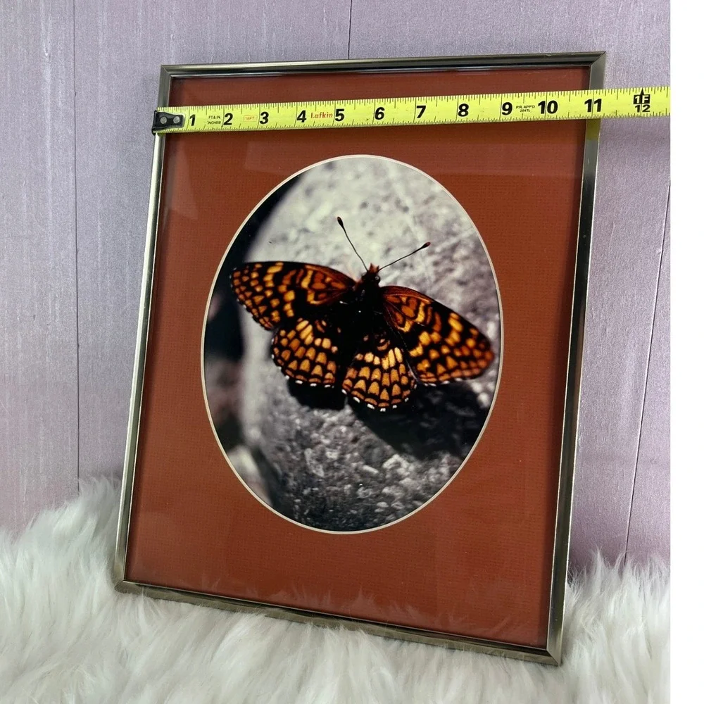 Vintage Butterfly Moth Forest Framed Art Nature Photography Silver Metal Frame